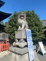 城山八幡宮の狛犬