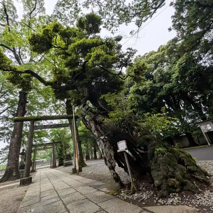 一言主神社(茨城県)