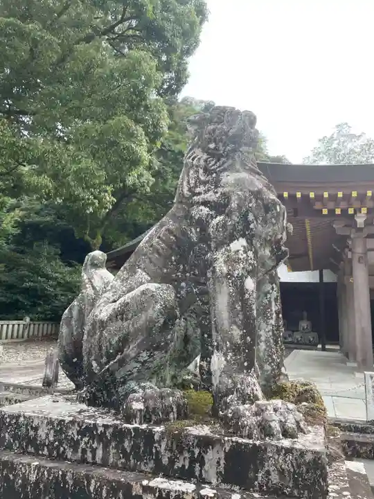 岐阜護國神社(岐阜県)