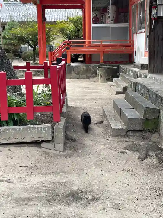 八幡奈多宮の動物