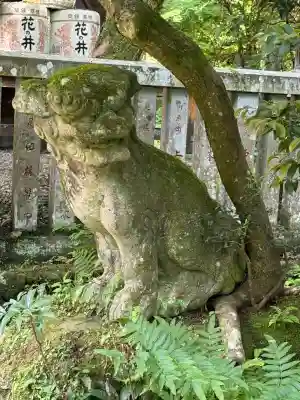 五所駒瀧神社(茨城県)