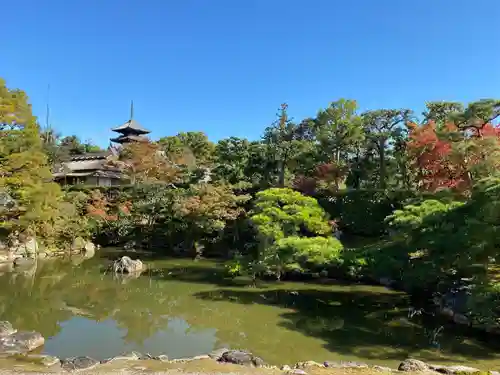 仁和寺の庭園