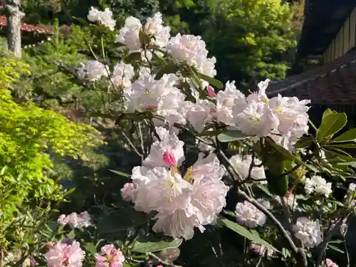 木舟山　順教寺(広島県)