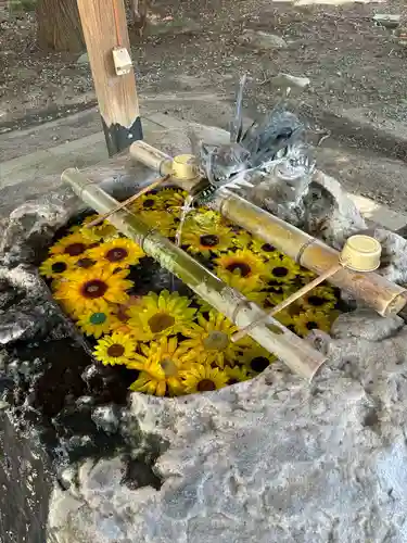 駒形神社の手水