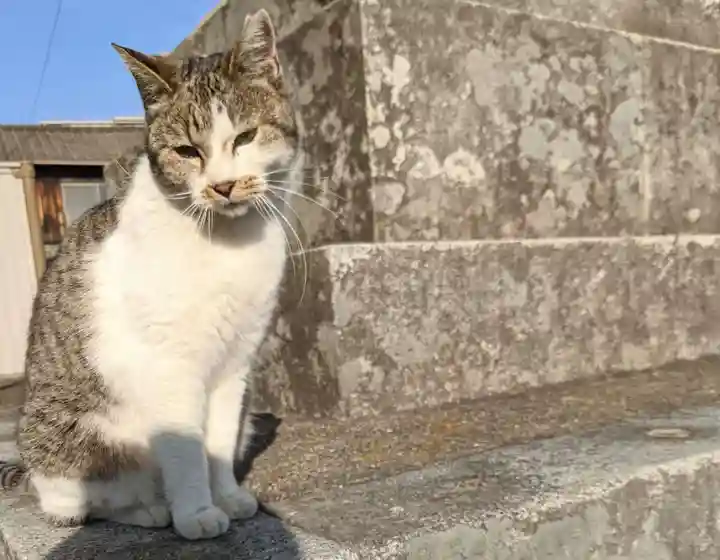 石清尾八幡宮の動物