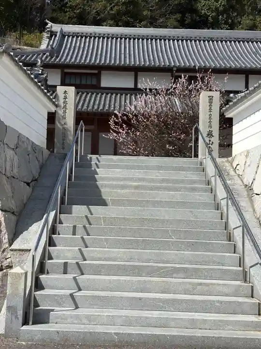 泰山寺(愛媛県)