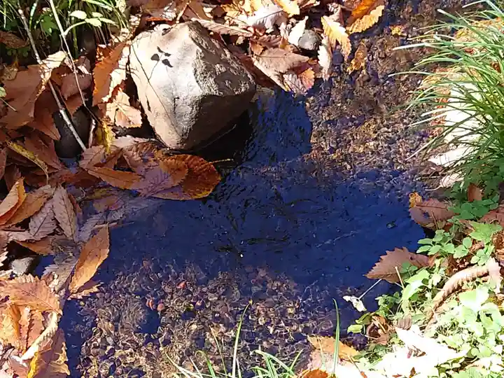 戸隠神社九頭龍社(長野県)