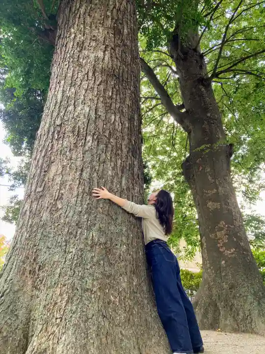 明治神社の自然