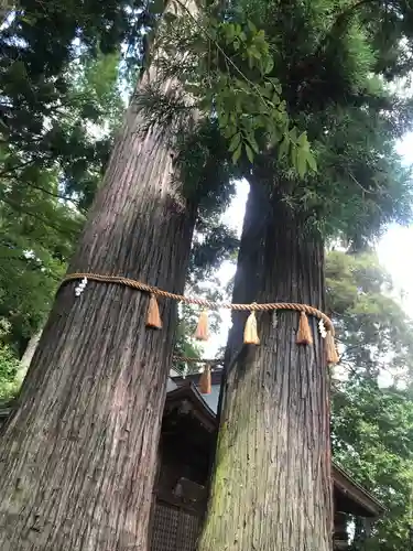 日枝神社の自然