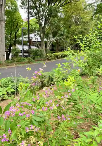 熊野神社の自然