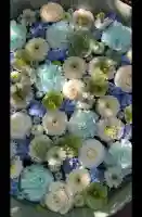 行田八幡神社の{uncategorized: "未分類", other: "その他", undefined: "問題あり", building: "その他建物", grave: "お墓", sacred_gate: "鳥居", guardian: "狛犬", statue: "像", buddha: "仏像", history: "歴史", nature: "自然", garden: "庭園", animal: "動物", pagoda: "塔", temizu: "手水舎", mountain_gate: "山門・神門", sanctuary: "本殿・本堂", subordinate: "末社・摂社", art: "芸術", scenery: "景色", jizo: "地蔵", ema: "絵馬", goshuin: "御朱印", omikuji: "おみくじ", items: "授与品その他", amulet: "お守り", goshuincho: "御朱印帳", eats: "食事", festival: "お祭り", votive_dance: "神楽", shichigosan: "七五三参", wedding: "結婚式", experience: "体験その他", initially: "初詣", around: "周辺", anti_infection: "感染症対策"}