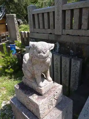 厳島神社の狛犬