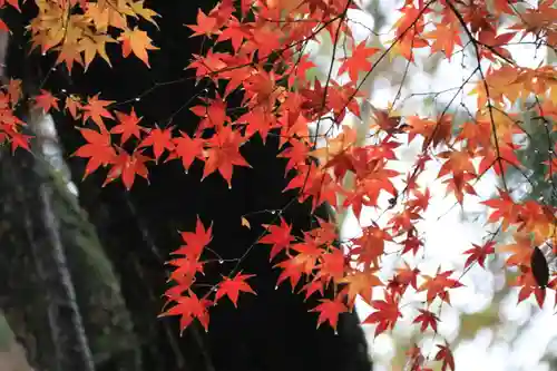 諏訪神社の庭園