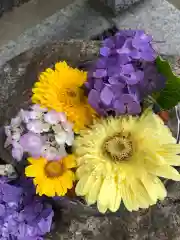 彌都加伎神社の手水