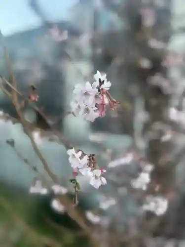 産土神社(大阪府)