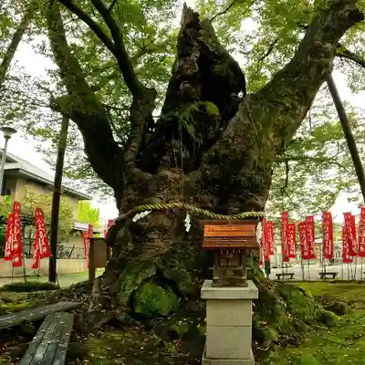 秩父今宮神社(埼玉県)