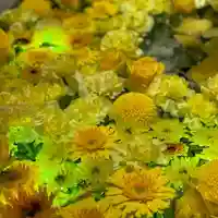 札幌諏訪神社の手水舎