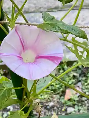 城南宮(京都府)