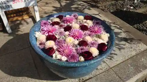 行田八幡神社の手水