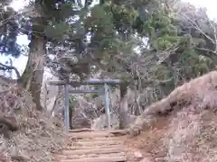 大山阿夫利神社本社(神奈川県)