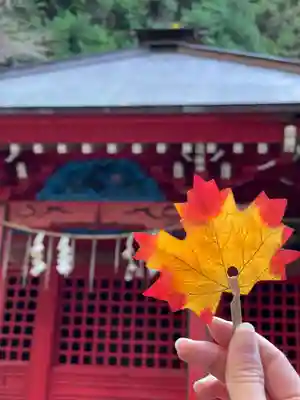 花園神社(茨城県)