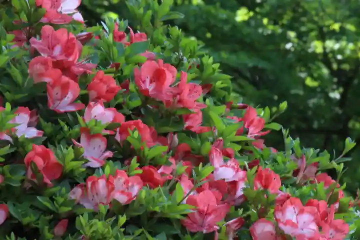 国宝 大法寺の自然
