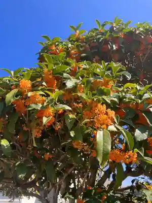 真言宗　善通寺派　薬王寺(香川県)