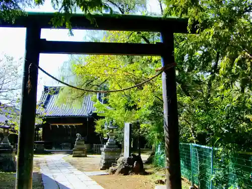 真間稲荷神社の鳥居