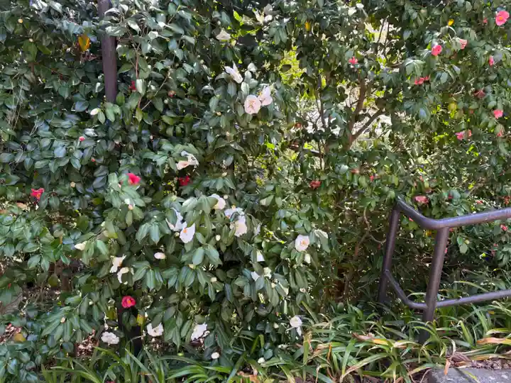 勝尾寺(大阪府)