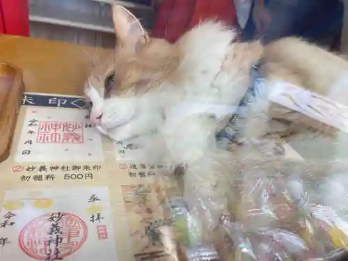 駒込妙義神社(東京都)