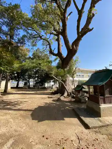 小島神社の自然