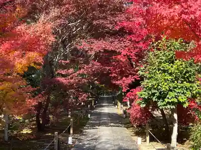 鹿王院(京都府)