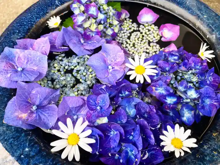 真言宗 善通寺派 薬王寺の手水舎