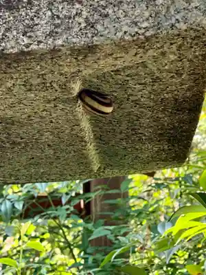 東北院(京都府)
