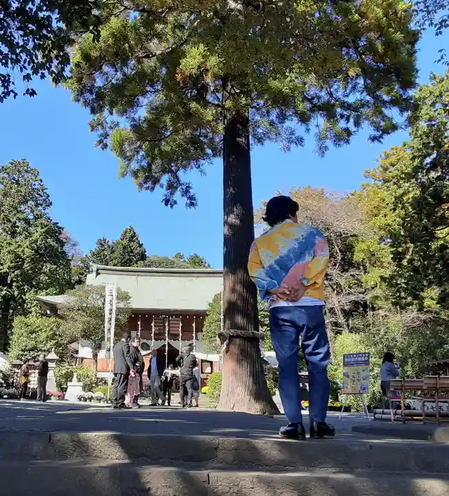 比々多神社(神奈川県)