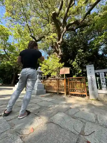 和泉國一之宮　大鳥大社(大阪府)