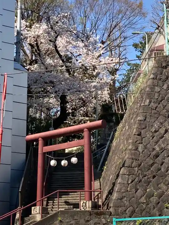 上目黒氷川神社の鳥居