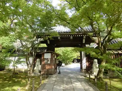 禅林寺（永観堂）の山門・神門