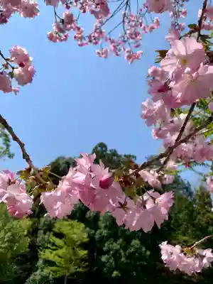 滑川神社 - 仕事と子どもの守り神(福島県)