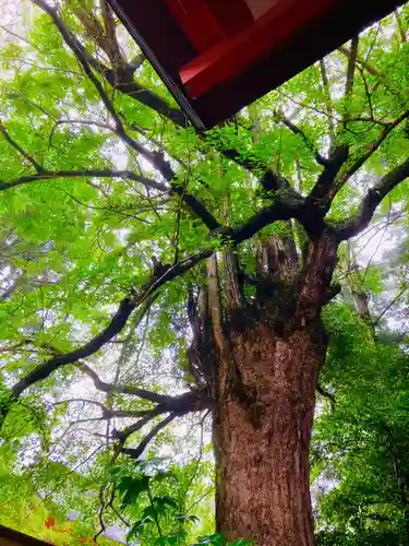 香取神宮(千葉県)