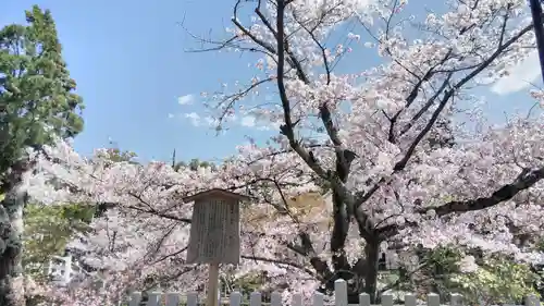 くろ谷 金戒光明寺の庭園