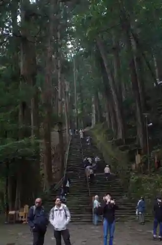 飛瀧神社（熊野那智大社別宮）の{uncategorized: "未分類", other: "その他", undefined: "問題あり", building: "その他建物", grave: "お墓", sacred_gate: "鳥居", guardian: "狛犬", statue: "像", buddha: "仏像", history: "歴史", nature: "自然", garden: "庭園", animal: "動物", pagoda: "塔", temizu: "手水舎", mountain_gate: "山門・神門", sanctuary: "本殿・本堂", subordinate: "末社・摂社", art: "芸術", scenery: "景色", jizo: "地蔵", ema: "絵馬", goshuin: "御朱印", omikuji: "おみくじ", items: "授与品その他", amulet: "お守り", goshuincho: "御朱印帳", eats: "食事", festival: "お祭り", votive_dance: "神楽", shichigosan: "七五三参", wedding: "結婚式", experience: "体験その他", initially: "初詣", around: "周辺", anti_infection: "感染症対策"}