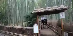 野宮神社(京都府)