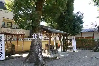 率川神社(大神神社摂社)の手水舎