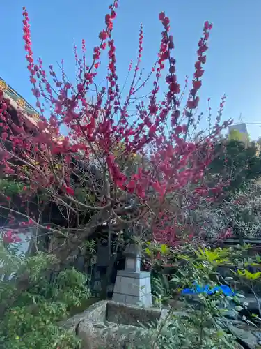 湯島天満宮の庭園