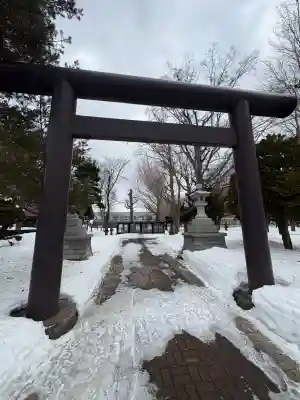 江南神社の{uncategorized: "未分類", other: "その他", undefined: "問題あり", building: "その他建物", grave: "お墓", sacred_gate: "鳥居", guardian: "狛犬", statue: "像", buddha: "仏像", history: "歴史", nature: "自然", garden: "庭園", animal: "動物", pagoda: "塔", temizu: "手水舎", mountain_gate: "山門・神門", sanctuary: "本殿・本堂", subordinate: "末社・摂社", art: "芸術", scenery: "景色", jizo: "地蔵", ema: "絵馬", goshuin: "御朱印", omikuji: "おみくじ", items: "授与品その他", amulet: "お守り", goshuincho: "御朱印帳", eats: "食事", festival: "お祭り", votive_dance: "神楽", shichigosan: "七五三参", wedding: "結婚式", experience: "体験その他", initially: "初詣", around: "周辺", anti_infection: "感染症対策"}