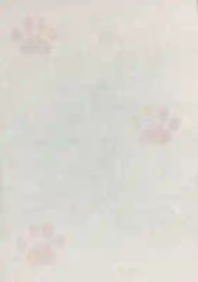 駒込妙義神社(東京都)