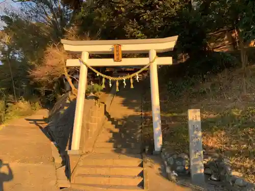 日枝神社の鳥居