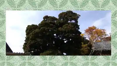 九重神社(埼玉県)
