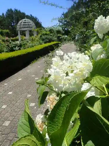瀬戸神社(神奈川県)